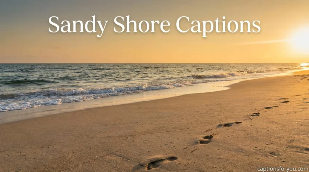 Sandy Shore Captions