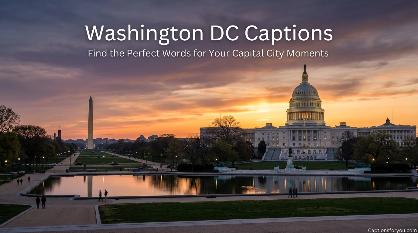 Washington DC Captions
